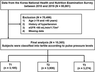 Pulse pressure and the risk of renal hyperfiltration in young adults: Results from Korea National Health and Nutrition Examination Survey (2010–2019)